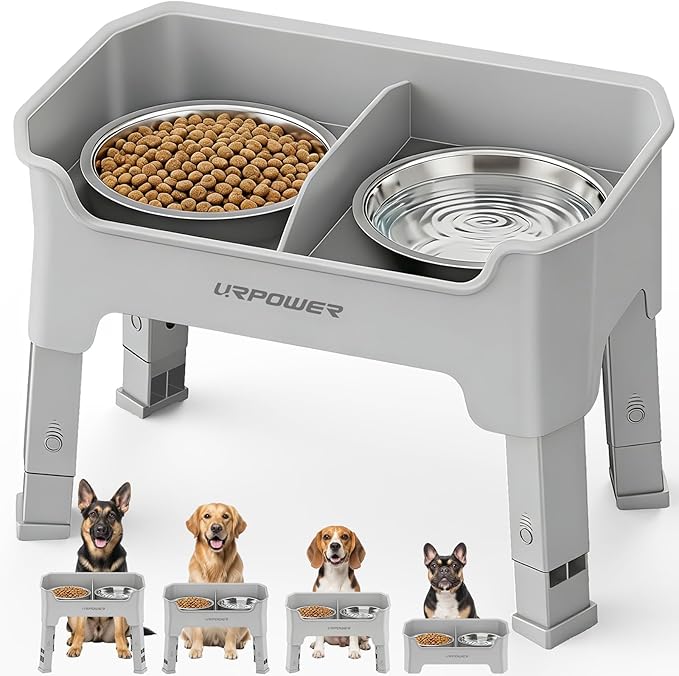 Elevated Dog Bowls